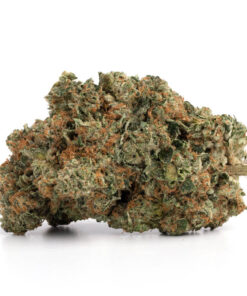 Pink Kush